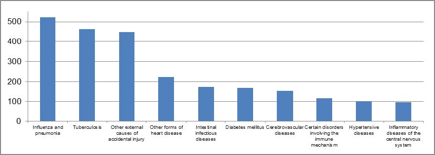 Figure 11: Causes of death Source: Department of Health Image